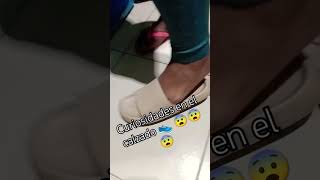 El misterio de las zapatillas 👟👞 shorts viral [upl. by Damahom]