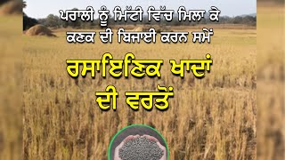 Fertilizers  Wheat Sowing  ਕਣਕ ਦੀ ਬਿਜਾਈ ਸਮੇਂ ਰਸਾਇਣਕ ਖਾਦਾਂ  DAPUreaNPK  Farming Information [upl. by Ennaihs]