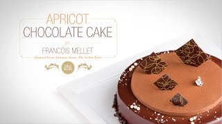 Apricot Chocolate Cake  Qzina [upl. by Mercie]