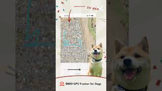 DBDD Gps Tracker pairs perfectly with your dogdogs dbdd gps tracker dog puppy funny pets [upl. by Alius]