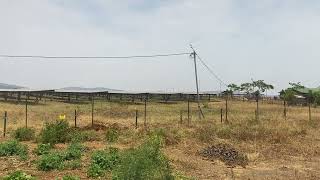 Solar farm [upl. by Nunes]