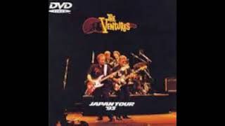 the ventures「京都慕情」reflections in a palace lake【cover】 [upl. by Wivina786]