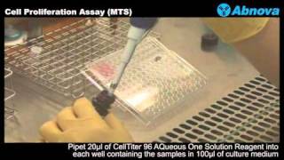 Cell Proliferation Assay MTS [upl. by Danieu]