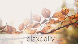 relaxdaily  N°013 official video  Season 1 Album Version [upl. by Drahnreb]