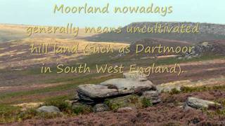 Heathland and Moorland biomes Movie [upl. by Lonny]