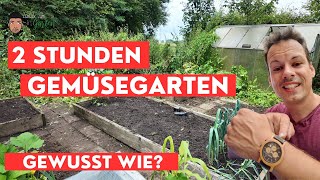 Der 2 Stunden Gemüsegarten  Aussaat August kann kommen [upl. by Ahsauqal]