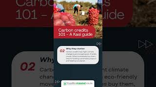 Carbon Credits 101 A Kasi Guide foodformzansi [upl. by Euqinu]