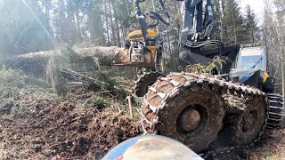 🌲 POWERCUTTING 🌲《 Harry Onboard 》 Ponsse Bear C55 amp H8 《 MS 462 》 [upl. by Napas]