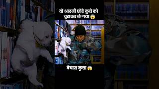 इस प्यारे से कुत्ते के बच्चे को उस आदमी ने चुरा लिया 😱  short anime cartoon dog [upl. by Tocs]