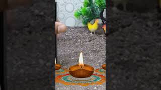 Diy Farm house and Diwali celebration [upl. by Ball]