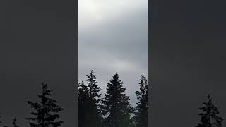 Trick flying plane over my camp on the Olympic Peninsula [upl. by Desdamonna250]