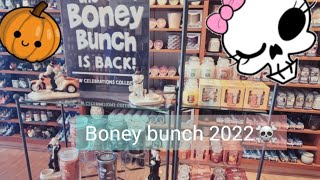 boney bunch 2022 amp my collection [upl. by Dalenna]