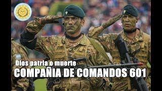 Compañia de Comandos 601 dios patria o muerte [upl. by Phaih]