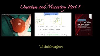 Omentum and Mesentery Part 1 [upl. by Bainbridge175]