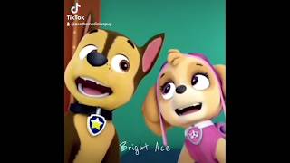 Paw Patrol  Skase Edit VideoSame Old LoveRemake skaseforeverpawpatrol fyp nickelodeon edit [upl. by Yellah]