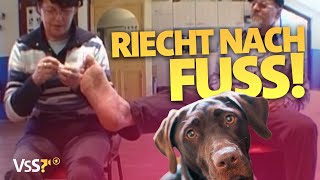 HundeTraining eskaliert Kurti lässt Hundebesitzer strampeln  Verstehen Sie Spaß [upl. by Shumway912]