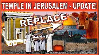 WHY IS THE RED HEIFER IMPORTANT FOR THE 3RD TEMPLE [upl. by Constance545]