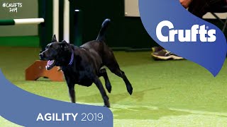 We Got a Runner Rescue Dog Agility  Crufts 2019 [upl. by Nesyla]