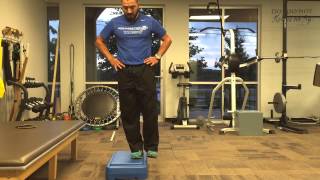 BEST Quad Exercise  Eccentric Step [upl. by Clementine]