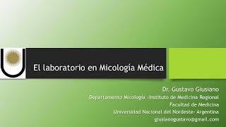 El laboratorio en Micología Médica Micosis sistémicas endémicas Paracoccidioidomicosis [upl. by Einahpats259]