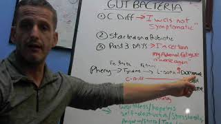 C Diff infection and Adrenal Fatigue [upl. by Sello935]