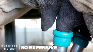 Why Camel Milk Is So Expensive  So Expensive [upl. by Ku]