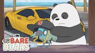 The Bears’ New Bird Friend  We Bare Bears  Cartoon Network [upl. by Charity144]