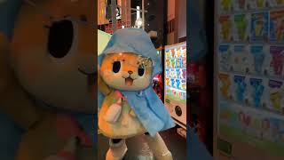 The dance is generally successful Its chiitan chiitan Sand sculpture daily Confusing behavio [upl. by Dom]