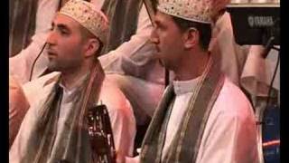 Mawlid Story  Nadal Munadi  قصة المولد  نادى المنادي بعد ولادة طه [upl. by Irene776]