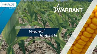 Warrant® Herbicide​ [upl. by Eittah]