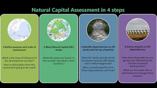 Natural Capital Assessments in 4 Steps  Steven King [upl. by Lsiel]