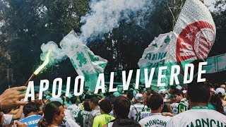 A FESTA DA TORCIDA DO PALMEIRAS ANTES DO DERBY [upl. by Ardnuassak]