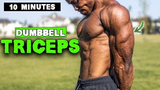 10 MINUTE LIGHTWEIGHT DUMBBELL TRICEP WORKOUT [upl. by Allemaj]