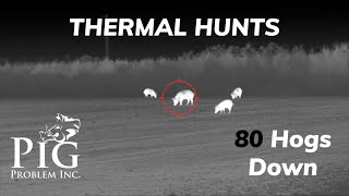 80 Wild Hogs Down  November Thermal Hog Hunts [upl. by Orling311]