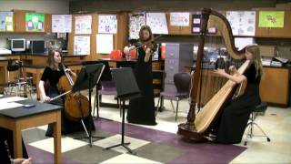 Violin Cello and Harp perform Canon in D  Pachelbel [upl. by Culver473]