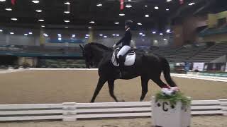 US Dressage Finals 2021 1st Level Musical Freestyle Championship [upl. by Salahi388]