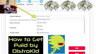 DistroKid Payment Methods How to Get Paid by DistroKid Tutorial [upl. by Yenttihw]