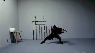 Challenge the first speed record of swordsmanship [upl. by Graff]