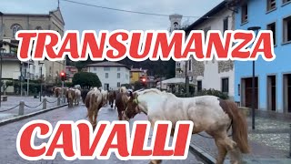 MANDRIA di CAVALLI in TRANSUMANZA di Davide Cattaneo PASCOLO VAGANTE Bergamo [upl. by Nalyak]