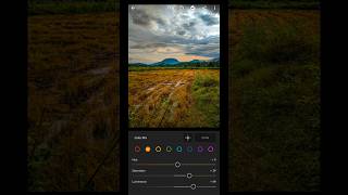 Lightroom mobile editing setting  naturel photography📷😍 youtubeshorts trendingshorts viralvideo [upl. by Aniret]