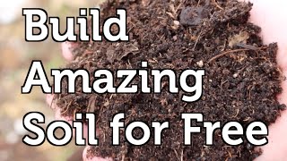 Build Amazing Fertile Garden Soil Using Free and Local Resources in your Mulch or Compost [upl. by Doughman49]