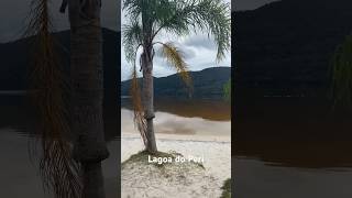 Lagoa do Peri Florianópolis 🍃💦turistandotododia [upl. by Simpkins]