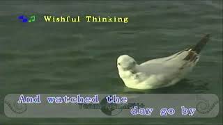 Wishful Thinking  China Crisis Karaoke Dmd7000 [upl. by Nadeen768]