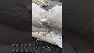 How to stack sandbags [upl. by Marylou880]