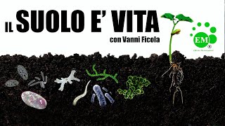 Em  microrganismi effettivi L agricoltura incentrata sulla vita [upl. by Feer807]