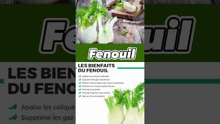 LES BIENFAITS DE FENOUIL [upl. by Stephen]