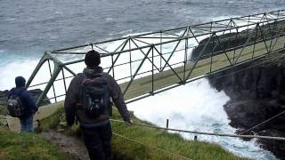 Trip to Mykines with the Faroese Ornithological Society [upl. by O'Callaghan]