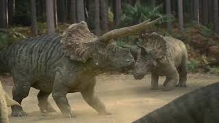 Prehistoric planet Triceratops fight with Torosaurus lock horn Soundtrack [upl. by Ewan730]