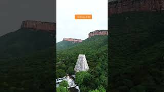 NATURE LOVERS BEST NATURE STATUS  FOR YOU PEACE PLACES  TIRUMALA HILLS NatureLover9866 [upl. by Hanyaz82]