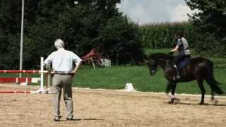 Butterfly® Sattel Michael Putz dt saddlery 2014 [upl. by Carina]